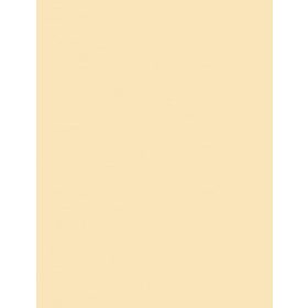 Fotókarton 50*65 cm, 170g Öko-Krém