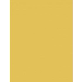 Fotókarton 50*65 cm, 170g Okker