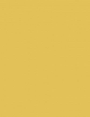 Fotókarton 50*65 cm, 170g Okker