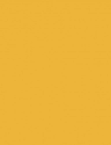 Fotókarton 50*65 cm, 170g Aranysárga