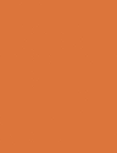 Fotókarton 50*65 cm, 170g Narancs