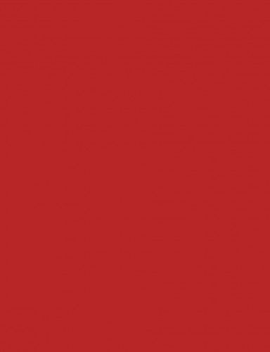 Fotókarton 50*65 cm, 170g Piros