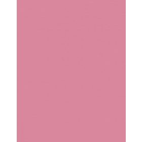 Fotókarton 50*65 cm, 170g Rózsaszín
