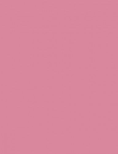 Fotókarton 50*65 cm, 170g Rózsaszín