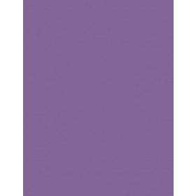 Fotókarton 50*65 cm, 170g Lila