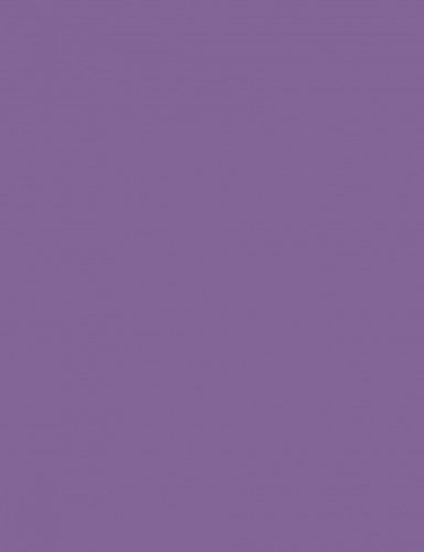 Fotókarton 50*65 cm, 170g Lila