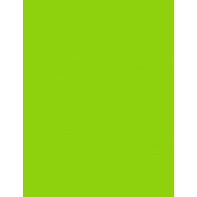 Fotókarton 50*65 cm, 170g Lime