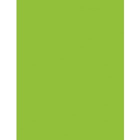 Fotókarton 50*65 cm, 170g Világoszöld