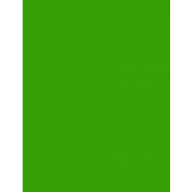 Fotókarton 50*65 cm, 170g Élénkzöld