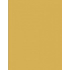 Fotókarton 50*65 cm, 170g Vanília