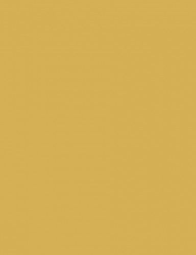 Fotókarton 50*65 cm, 170g Vanília