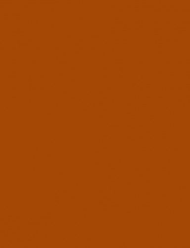 Fotókarton 50*65 cm, 170g Gesztenyebarna