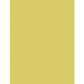 Fotókarton 50*65 cm, 170g Őzbarna