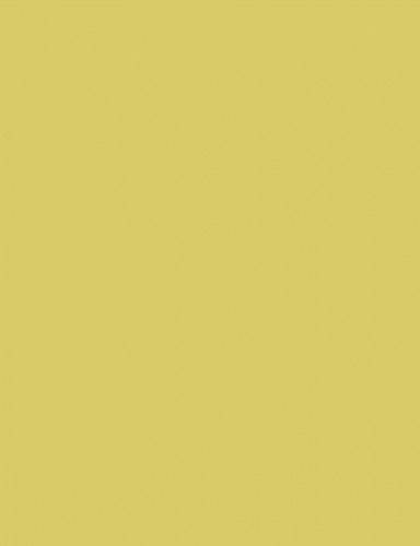 Fotókarton 50*65 cm, 170g Őzbarna