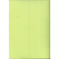 Gyöngyházfényű karton A/4 világoszöld