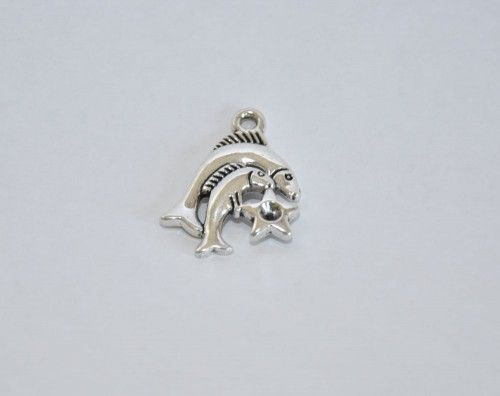 Fémmedál karabínerrel, csillagjegyek, halak