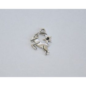 Fémmedál karabínerrel, csillagjegyek, bak