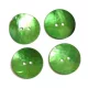 Kagylógomb 25mm, Zöld