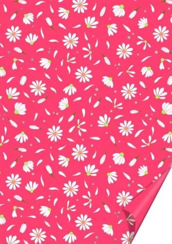 Karton A/4 DAISY, PIROS