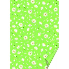 Karton A/4 DAISY ZÖLD