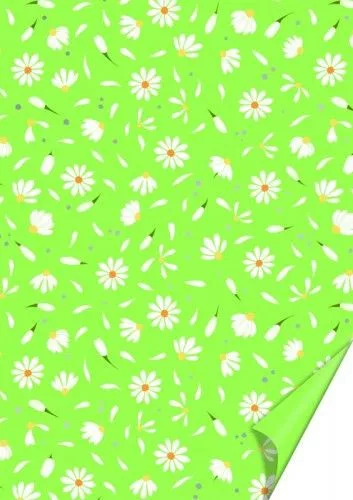 Karton A/4 DAISY ZÖLD