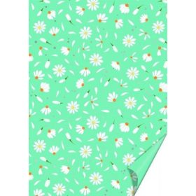 Karton, A/4 DAISY KÉK