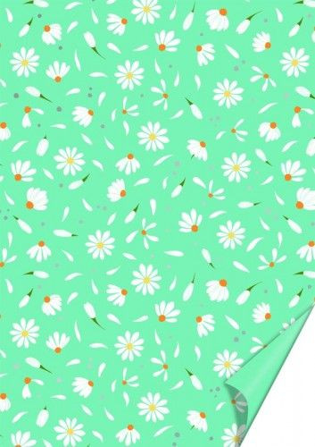 Karton, A/4 DAISY KÉK