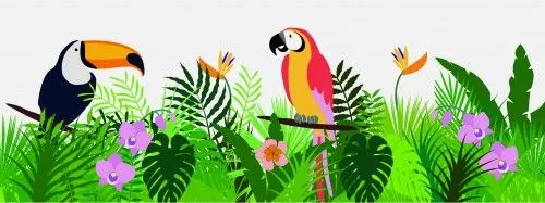 Ablakmatrica, DZSUNGEL