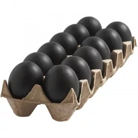 Műanyag tojás tartóban, Fekete 12db/cs