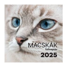 Macskák falinaptár - 2025