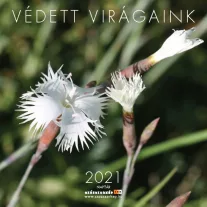 Védett Virágaink naptár 2021