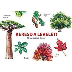 Keresd a levelét! - Memóriajáték fákkal