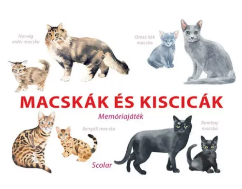 Macskák és kiscicák - Memóriajáték