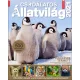 Füles Bookazine - Csodálatos Állatvilág (2021)