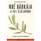 Noé bárkája a xxi. században