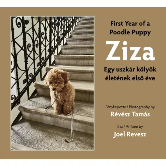 Ziza Ziza