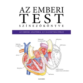 Az emberi test színezőkönyve