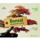 Bonsai mindentudó