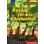 Gazdag termés a kiskertből