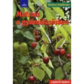 Metszés a gyümölcsösben