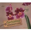 Orchidea mindentudó
