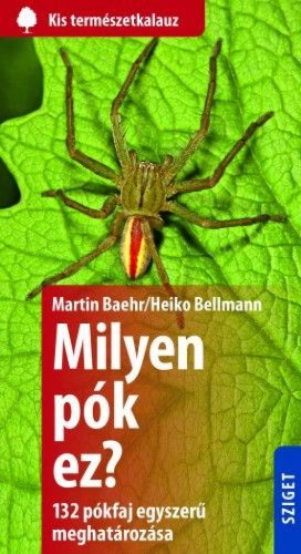 Milyen pók ez? - 132 pók egyszerű meghatározása
