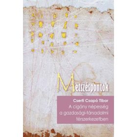   A cigány népesség a gazdasági-társadalmi térszerkezetben