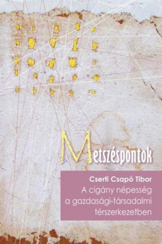 A cigány népesség a gazdasági-társadalmi térszerkezetben