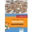 Matematika - Gyakorlófeladatok 2. osztályosoknak