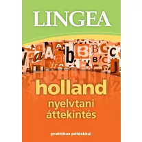 Holland nyelvtani áttekintés