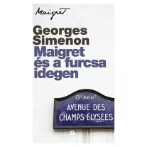 Maigret és a furcsa idegen