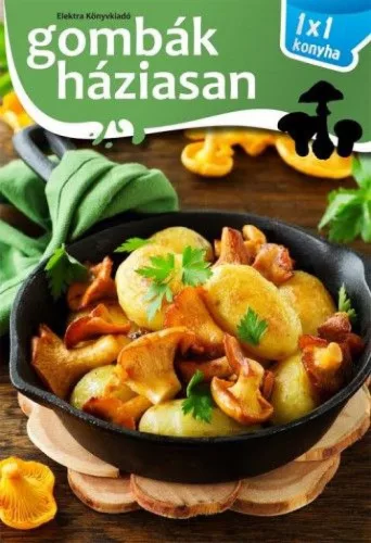 1x1 Gombák háziasan