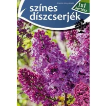 Színes díszcserjék