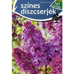 Színes díszcserjék